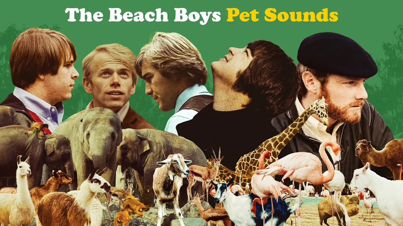 Load video: Pet Sounds Video with the San Diego Zoo
